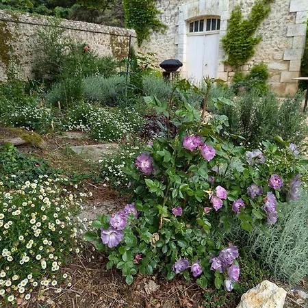 Сasa de vacaciones Avec Piscine Chauffée Et Wi-fi En Pleine Nature - Fr-1-653-283 Pranzac