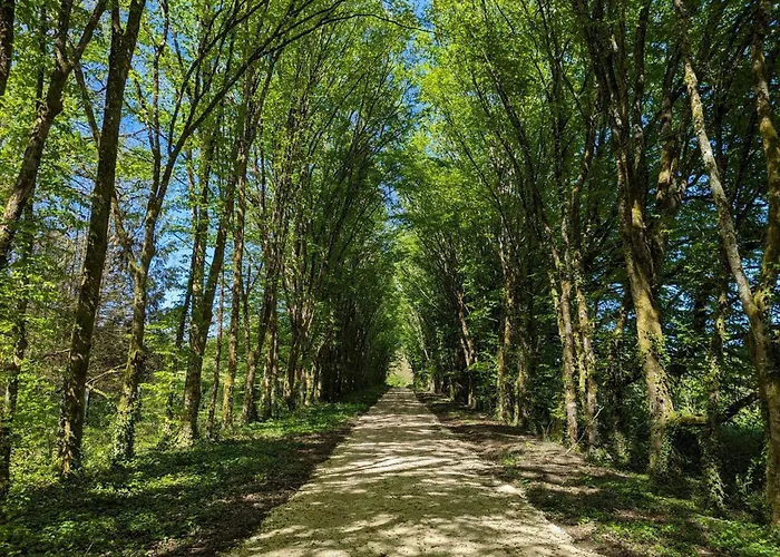Сasa de vacaciones Avec Piscine Chauffée Et Wi-fi En Pleine Nature - Fr-1-653-283
