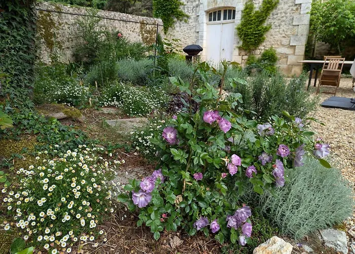 Сasa de vacaciones Avec Piscine Chauffée Et Wi-fi En Pleine Nature - Fr-1-653-283 Pranzac